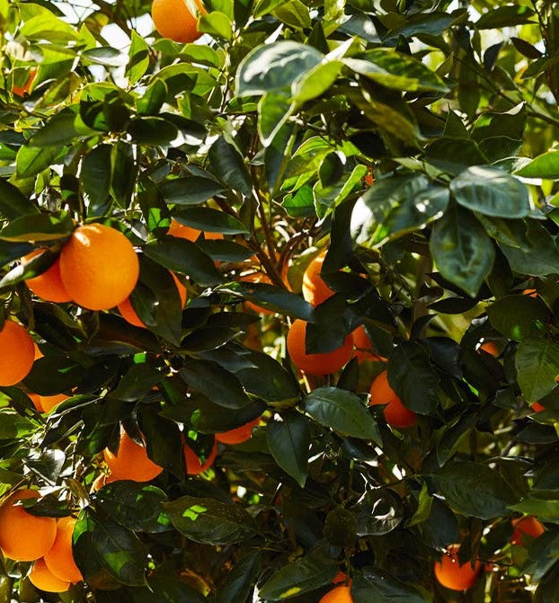 ?!label-Indicative photo