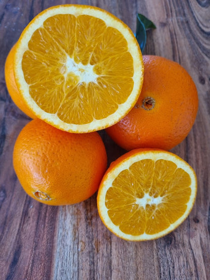 ?!label-Indicative photo