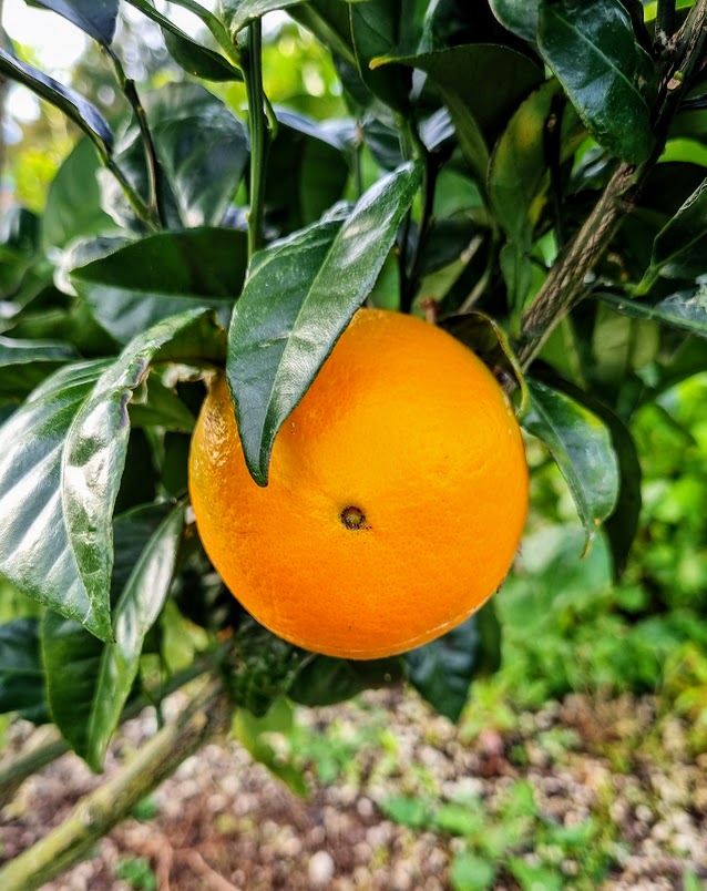 ?!label-Indicative photo