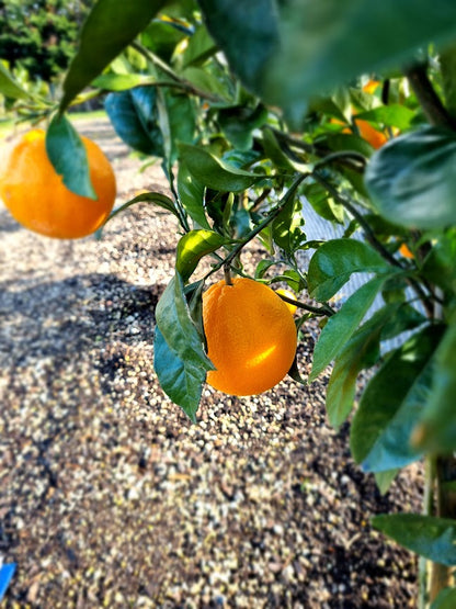 ?!label-Indicative photo