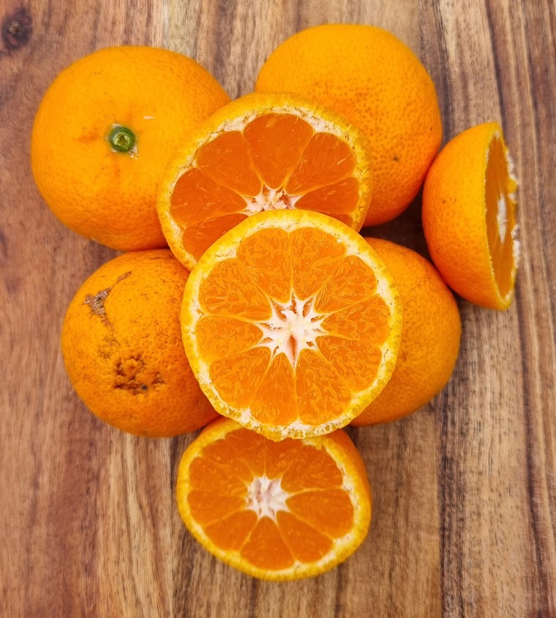 ?!label-Indicative photo