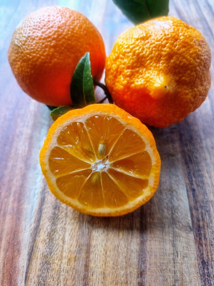 ?!label-Indicative photo