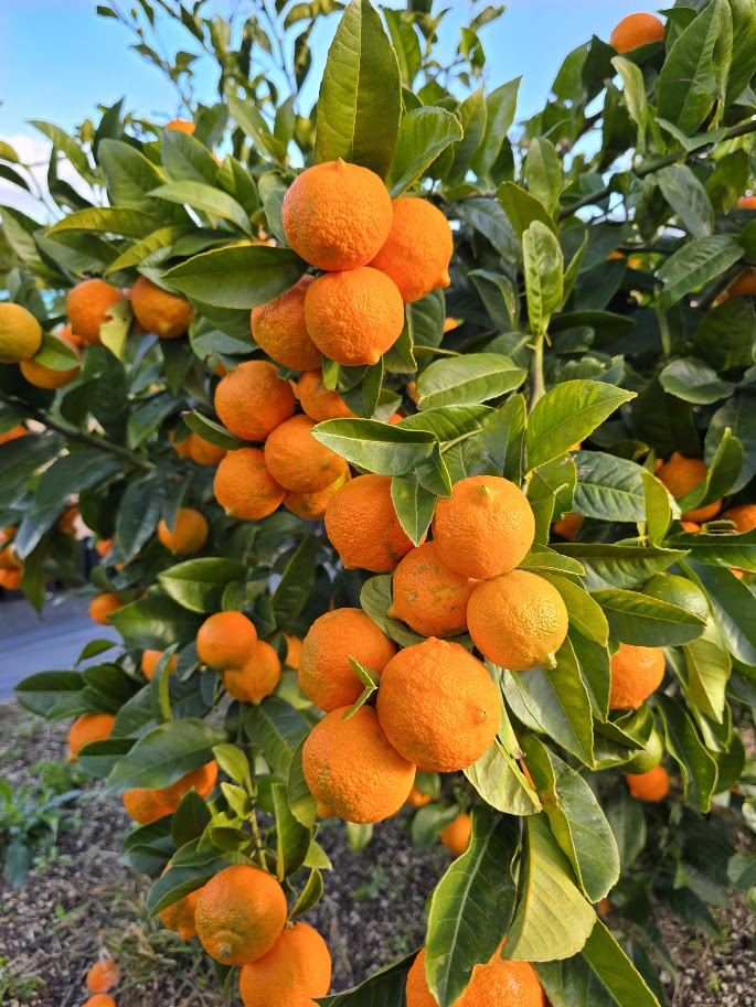 ?!label-Indicative photo