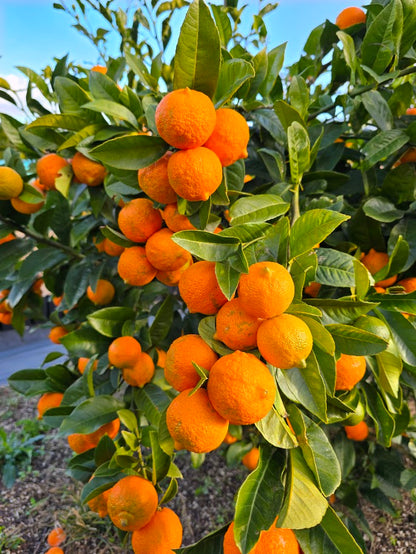 ?!label-Indicative photo