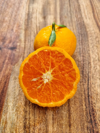 ?!label-Indicative photo