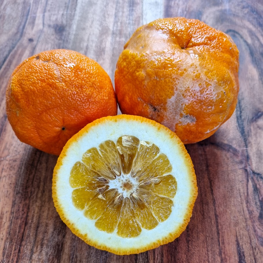 ?!label-Indicative photo