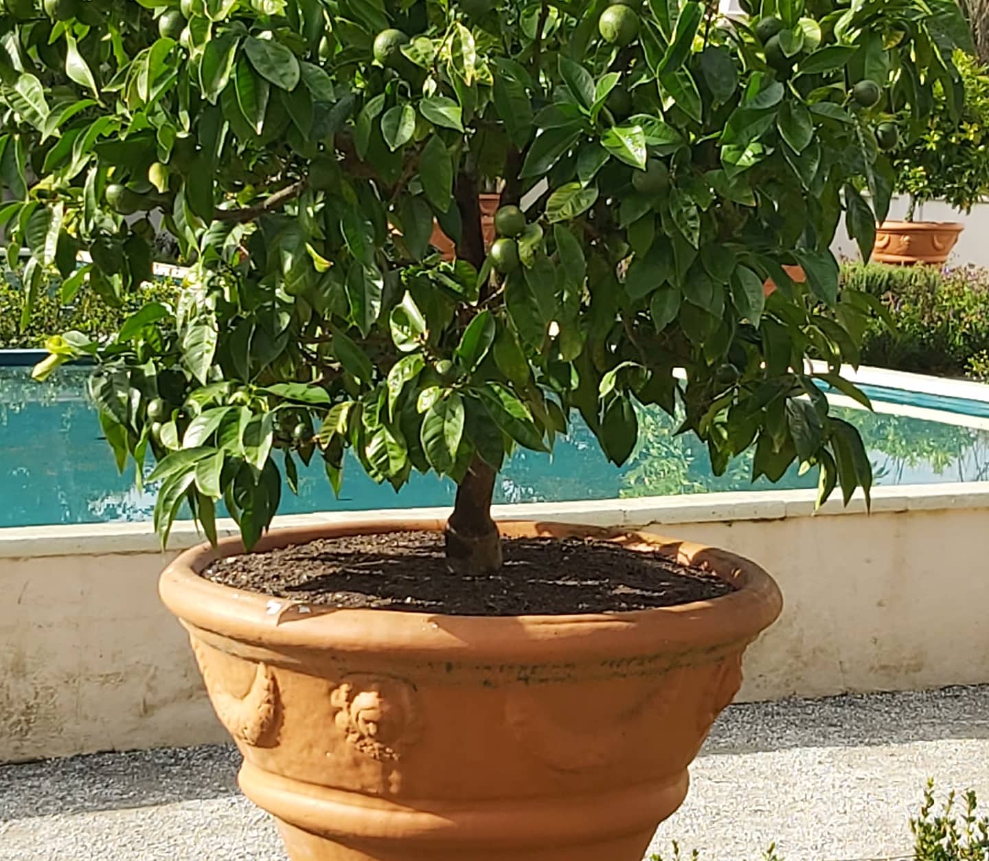 ?!label-Indicative photo