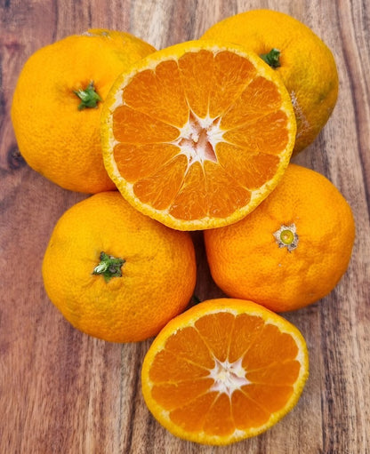 ?!label-Indicative photo