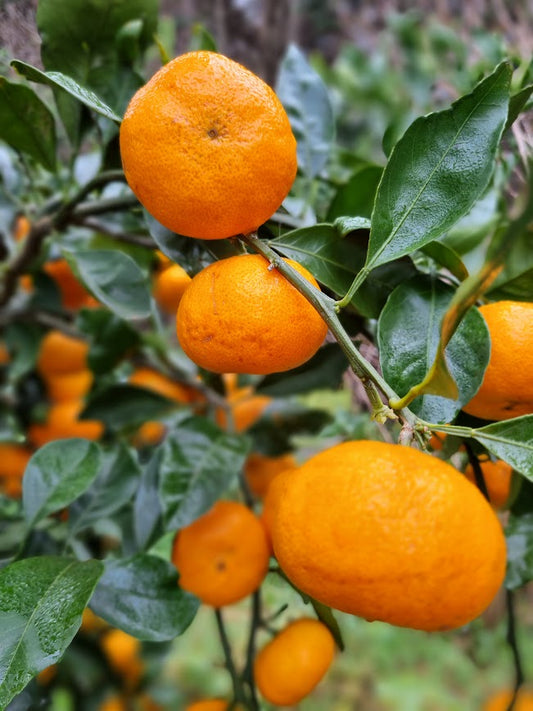 ?!label-Indicative photo