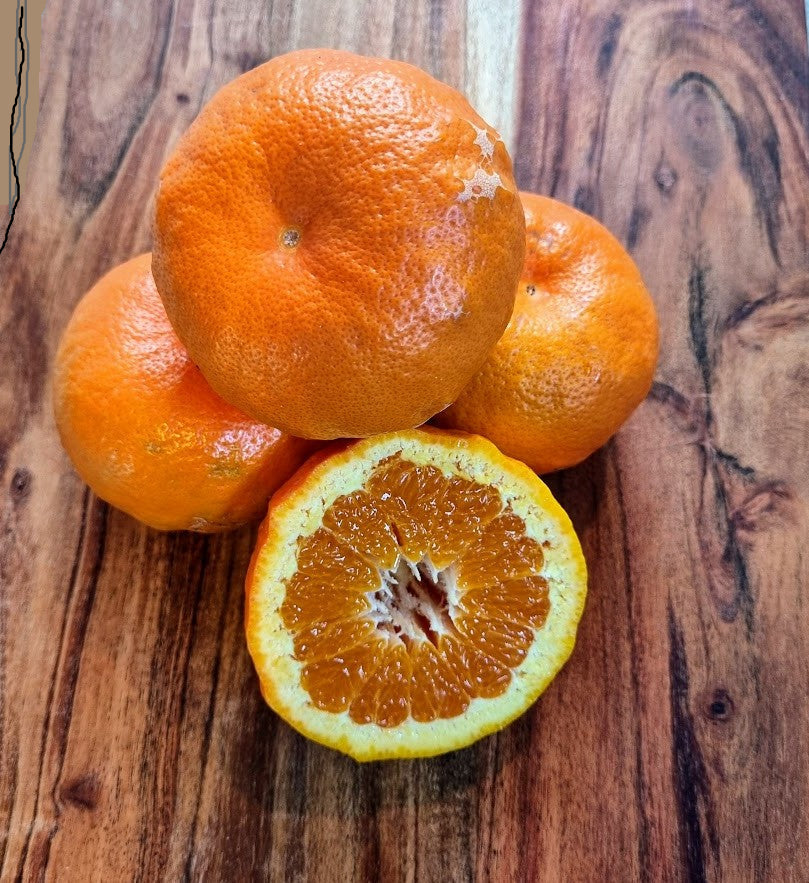 ?!label-Indicative photo