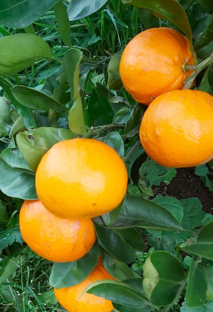 ?!label-Indicative photo