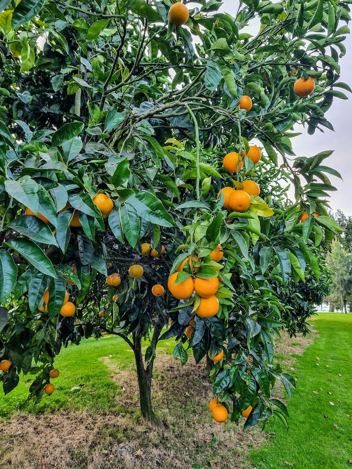 ?!label-Indicative photo