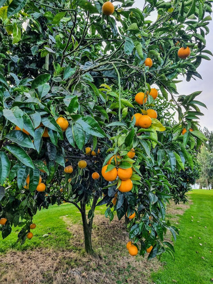 ?!label-Indicative photo