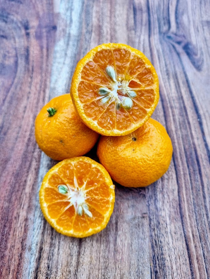 ?!label-Indicative photo