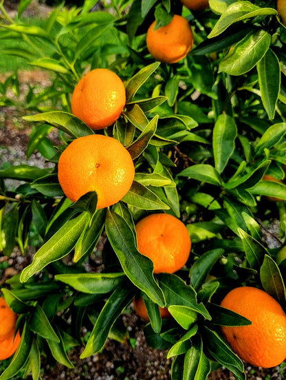 ?!label-Indicative photo