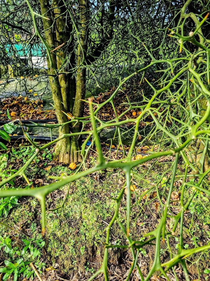 ?!label-Indicative photo