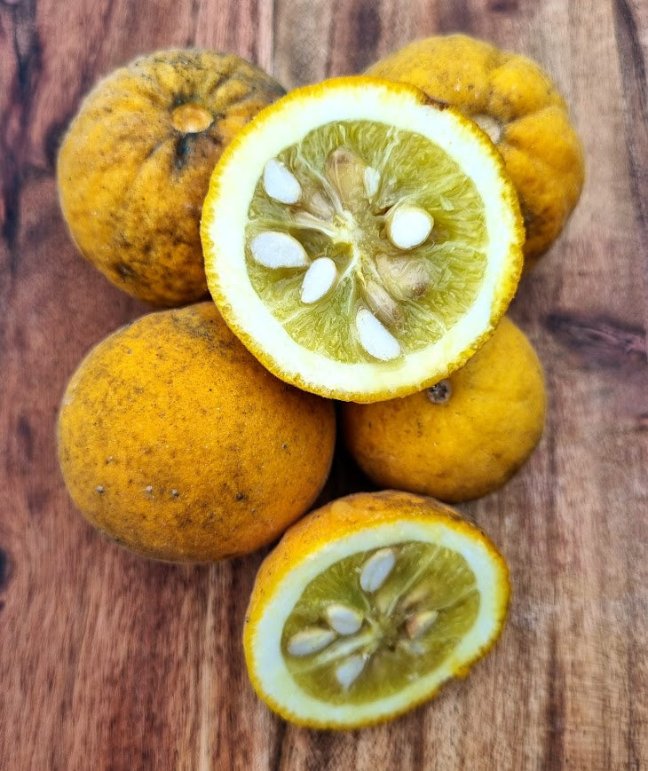 ?!label-Indicative photo