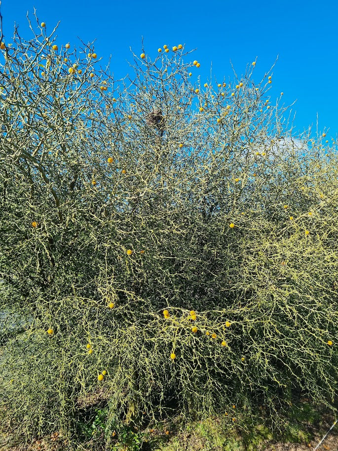 ?!label-Indicative photo