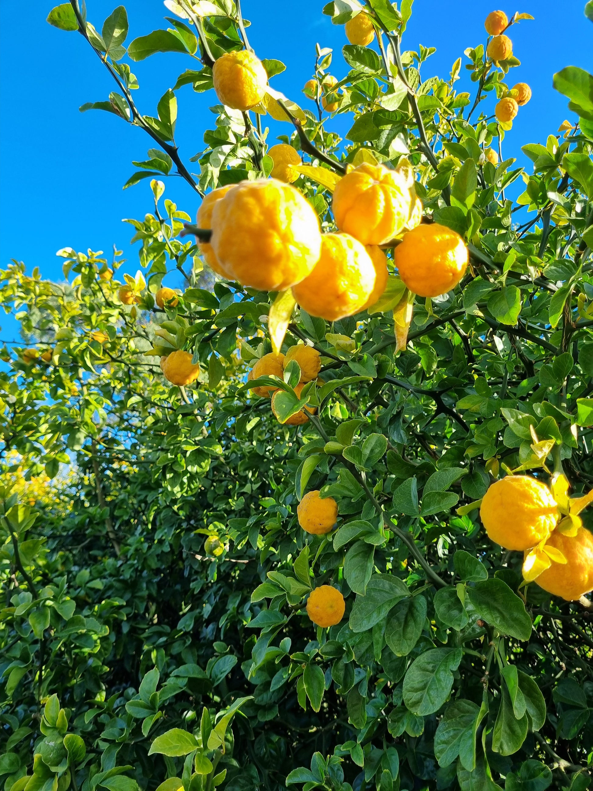 ?!label-Indicative photo