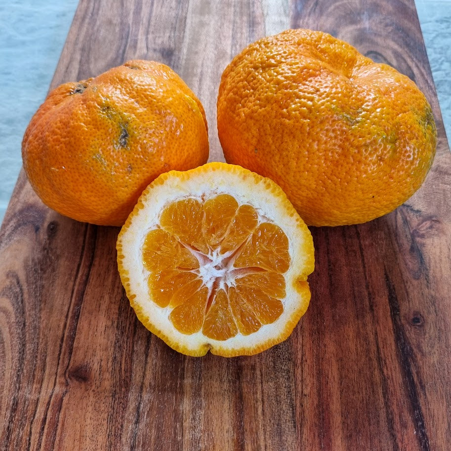 ?!label-Indicative photo