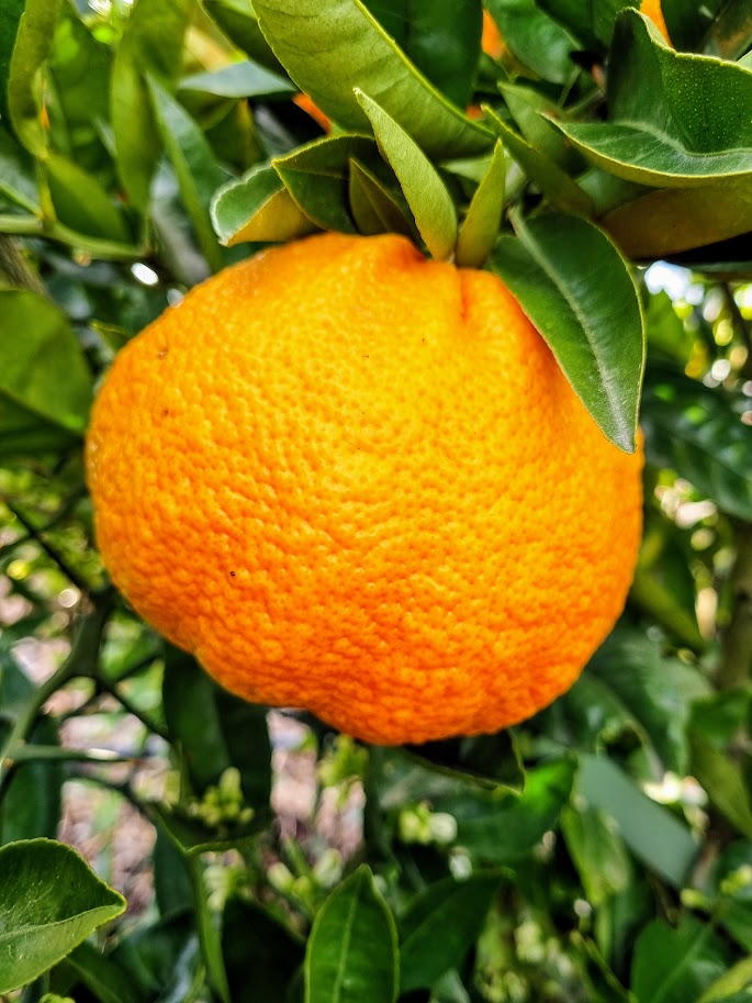 ?!label-Indicative photo