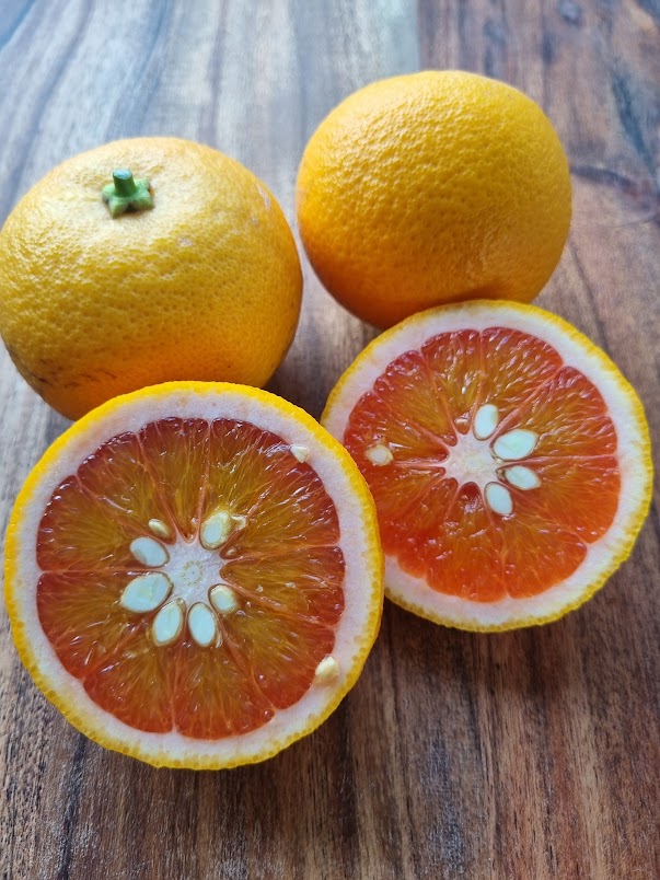 ?!label-Indicative photo