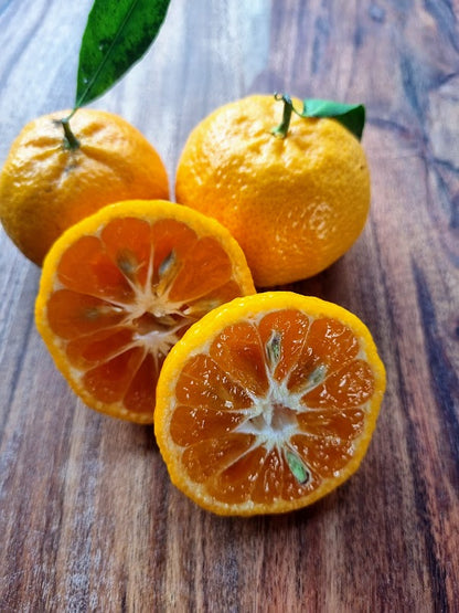 ?!label-Indicative photo