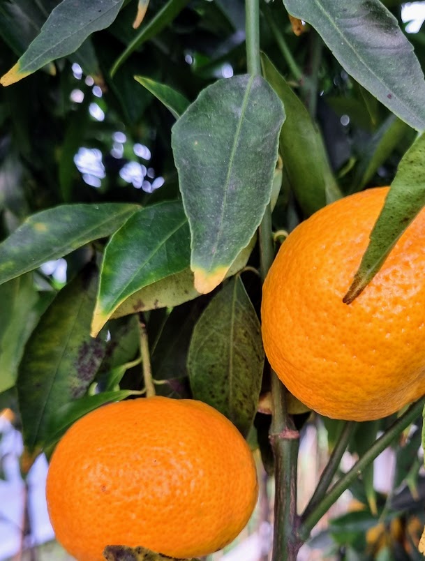 ?!label-Indicative photo