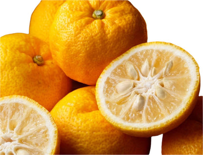 ?!label-Indicative photo