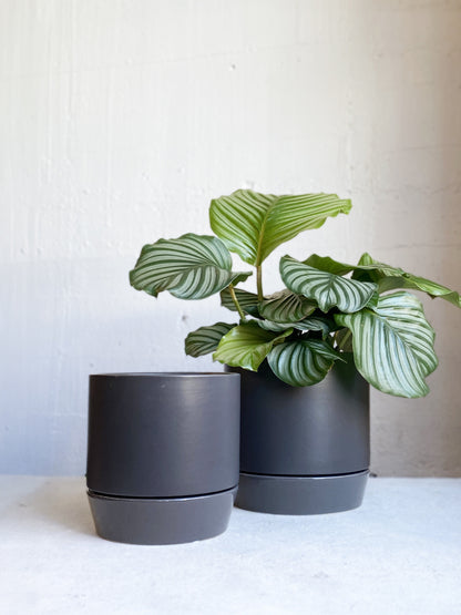 Broste Denise Pot & Saucer