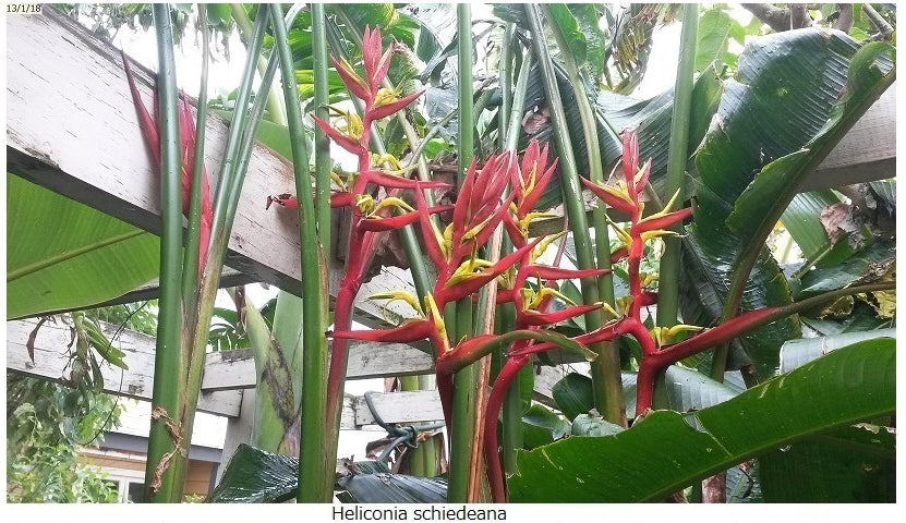 ?!label-Indicative photo 