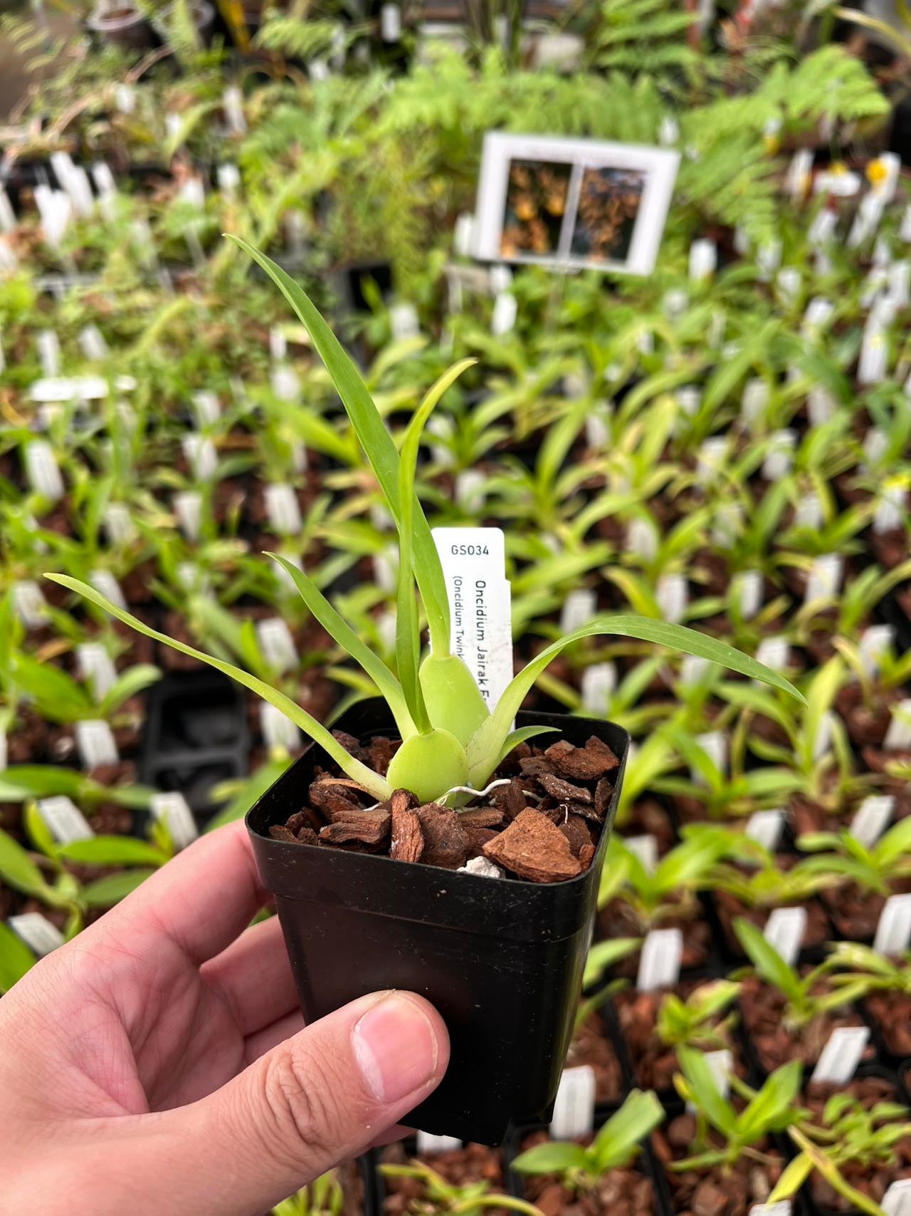 f08d65c5068ceac203cda8d35f86ddf.jpg