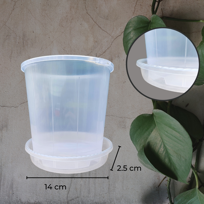 Clear Plant Saucer 14cm (1).png