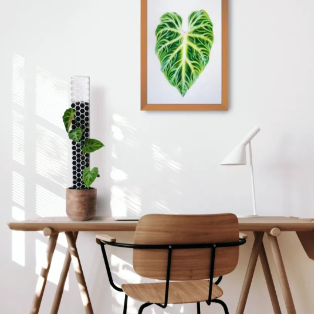 PlantThingy Media Poles  (9).png