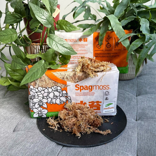 GM SpagMos 150g (2)_edited_edited.jpg