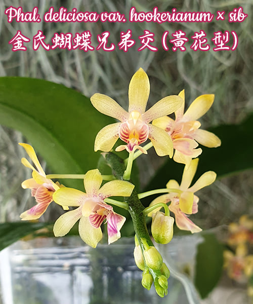 4a5d5058a64efd3ba6c261c60f12dc5.png