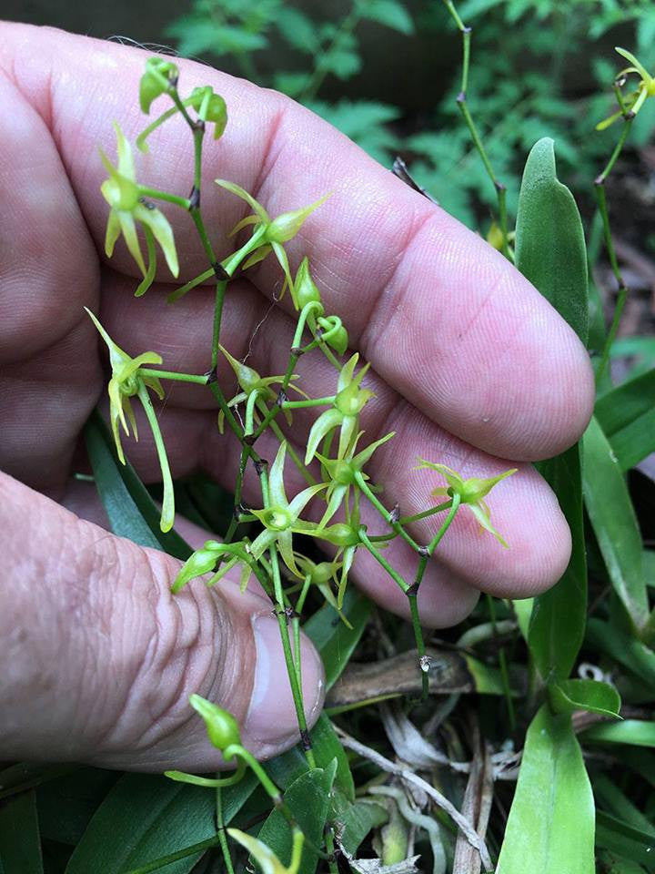 ?!label-Indicative photo