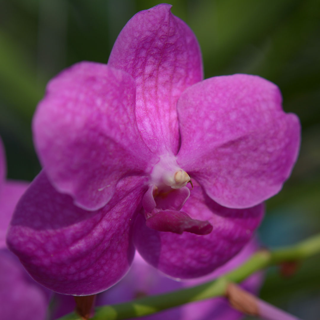 ?!label-Indicative photo