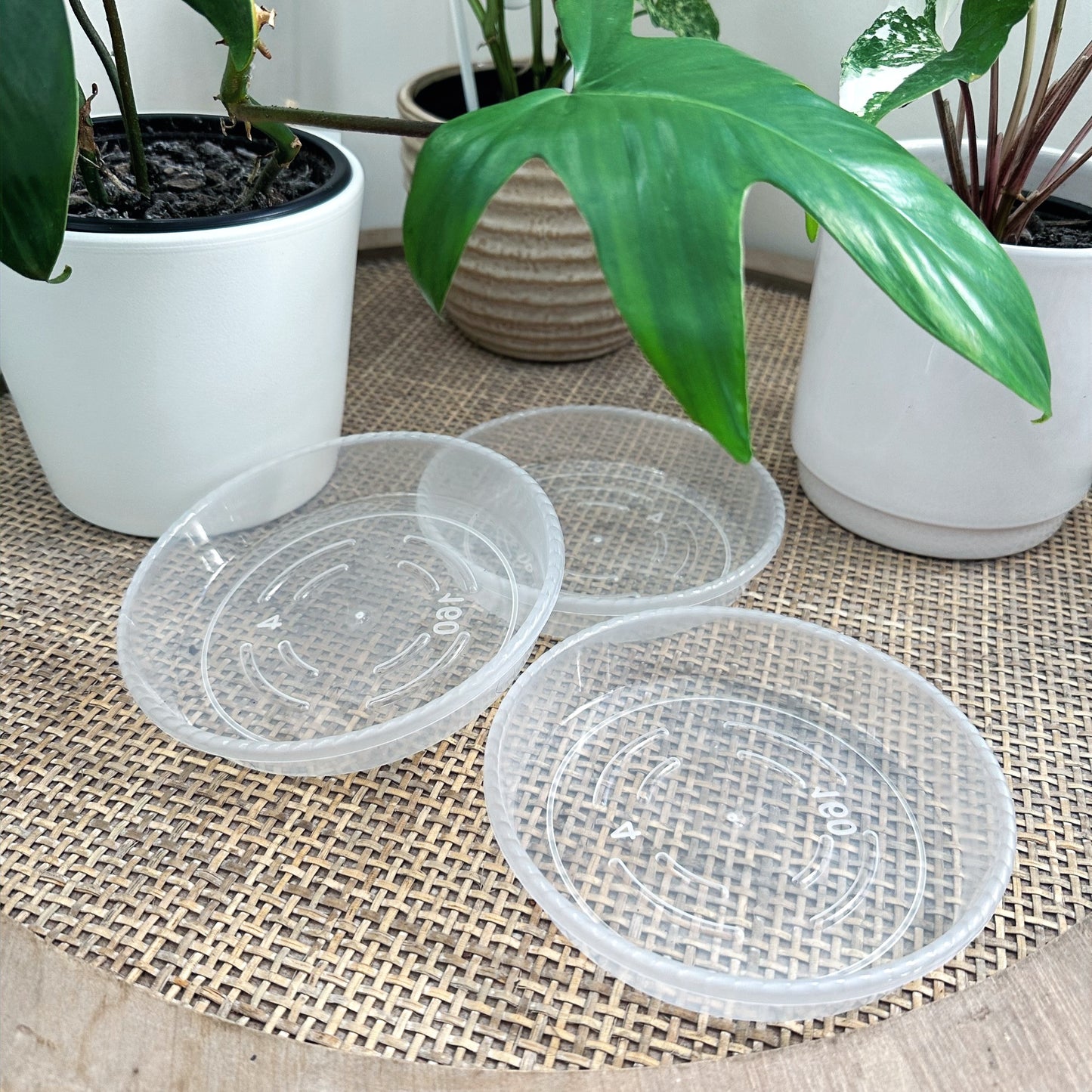 Clear Plant Saucer 14cm (1)_edited.jpg