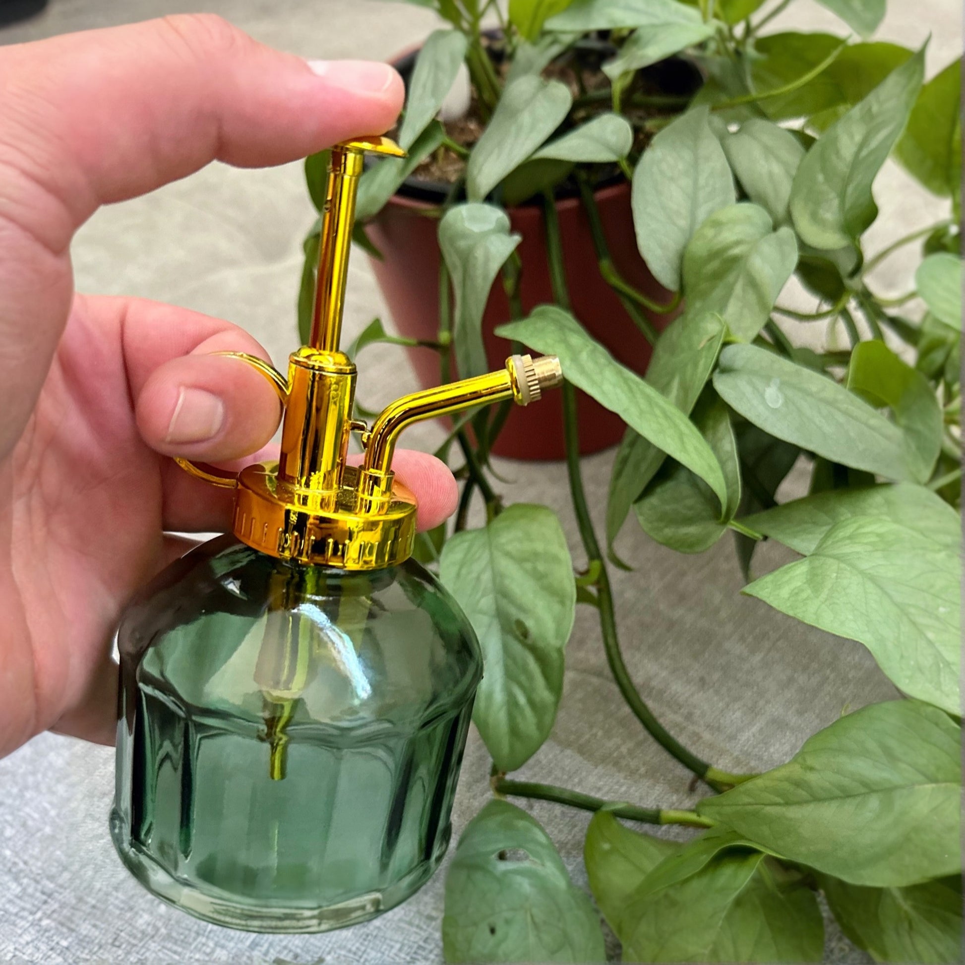 Esschert Plant mister green (12)_edited_edited_edited.jpg