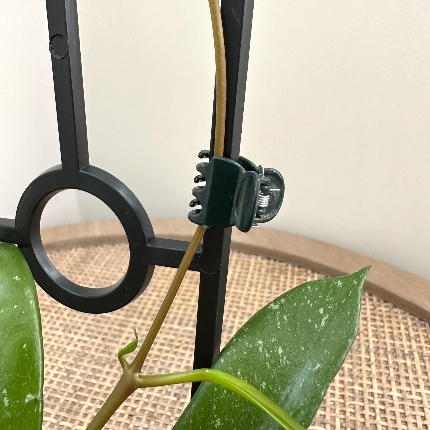 Butterfly plant clips (2)_edited.jpg