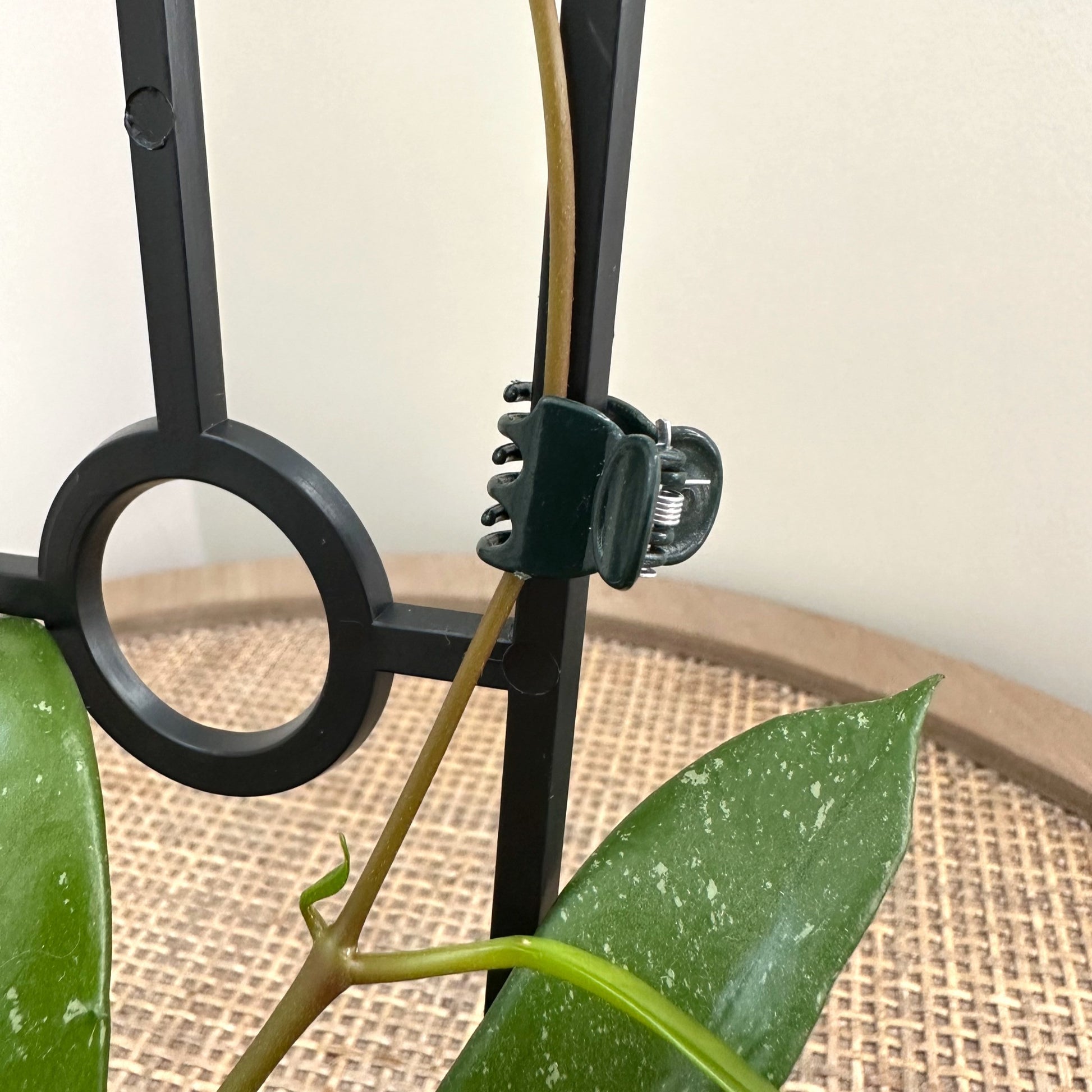 Butterfly plant clips (2)_edited.jpg