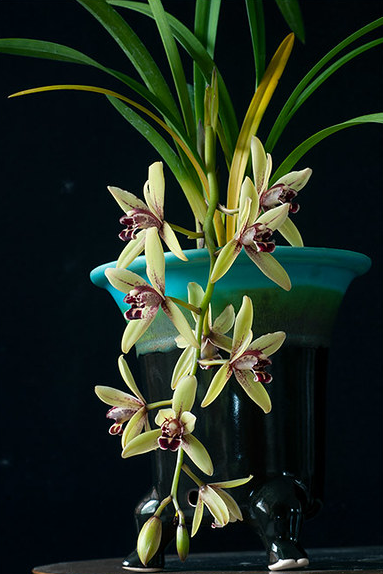 ?!label-Indicative photo