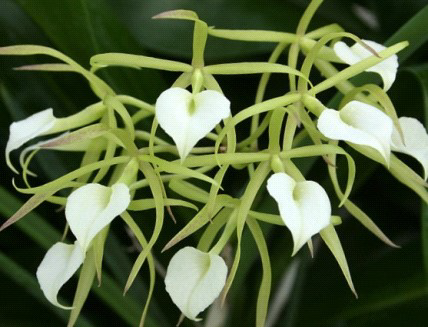 ?!label-Indicative photo