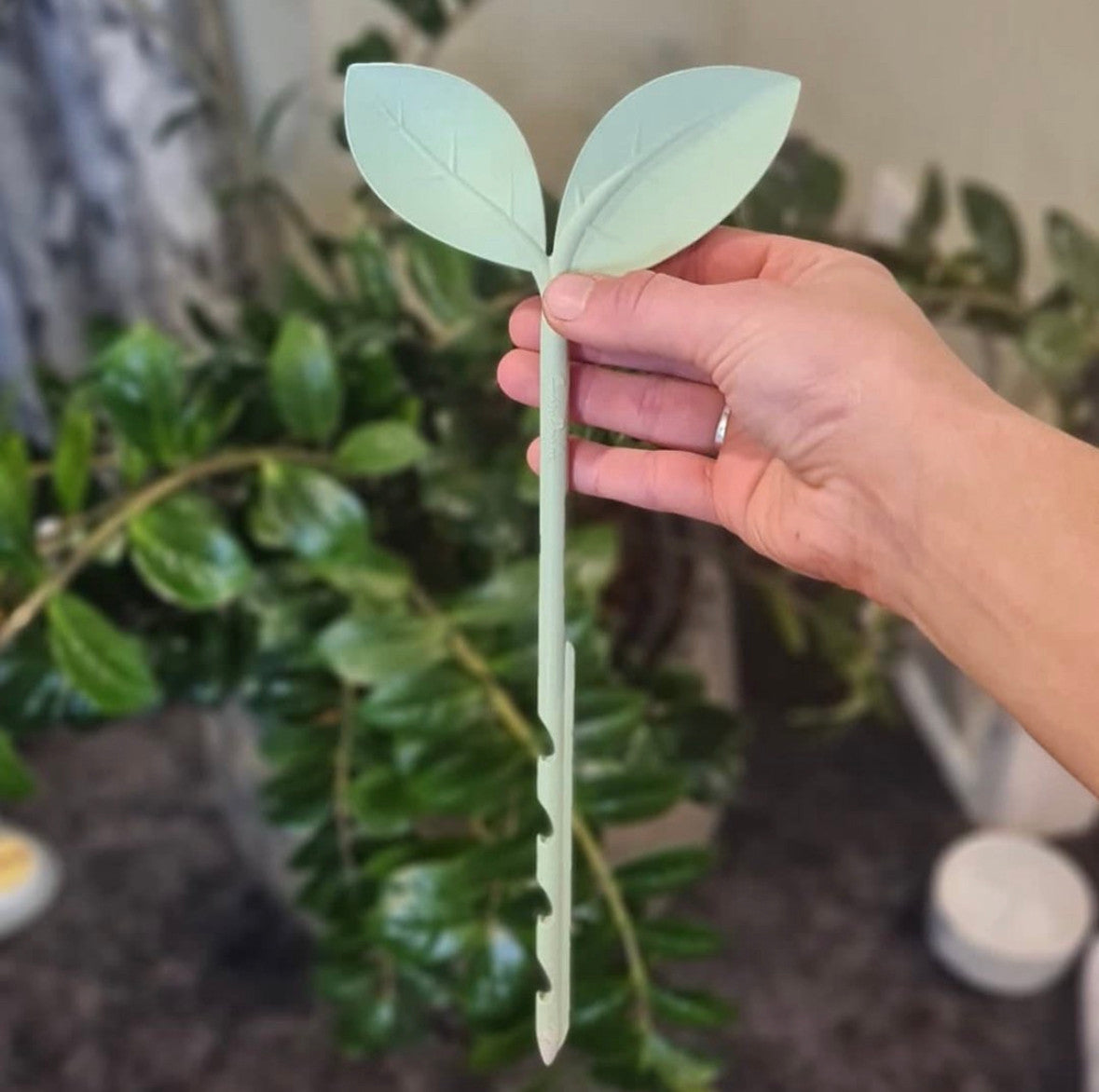 GrowProbe (2).jpg