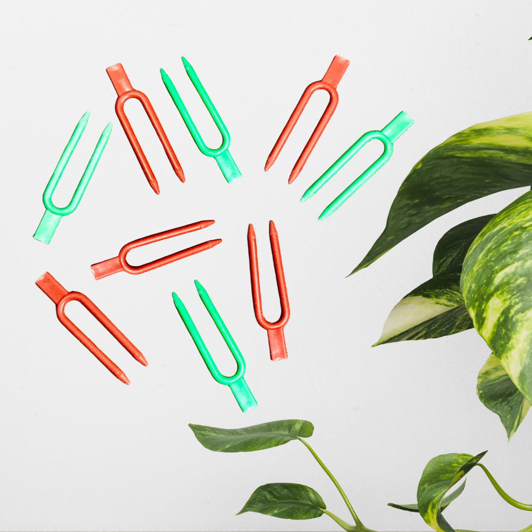 Soil pins Gr+Rd (1).png