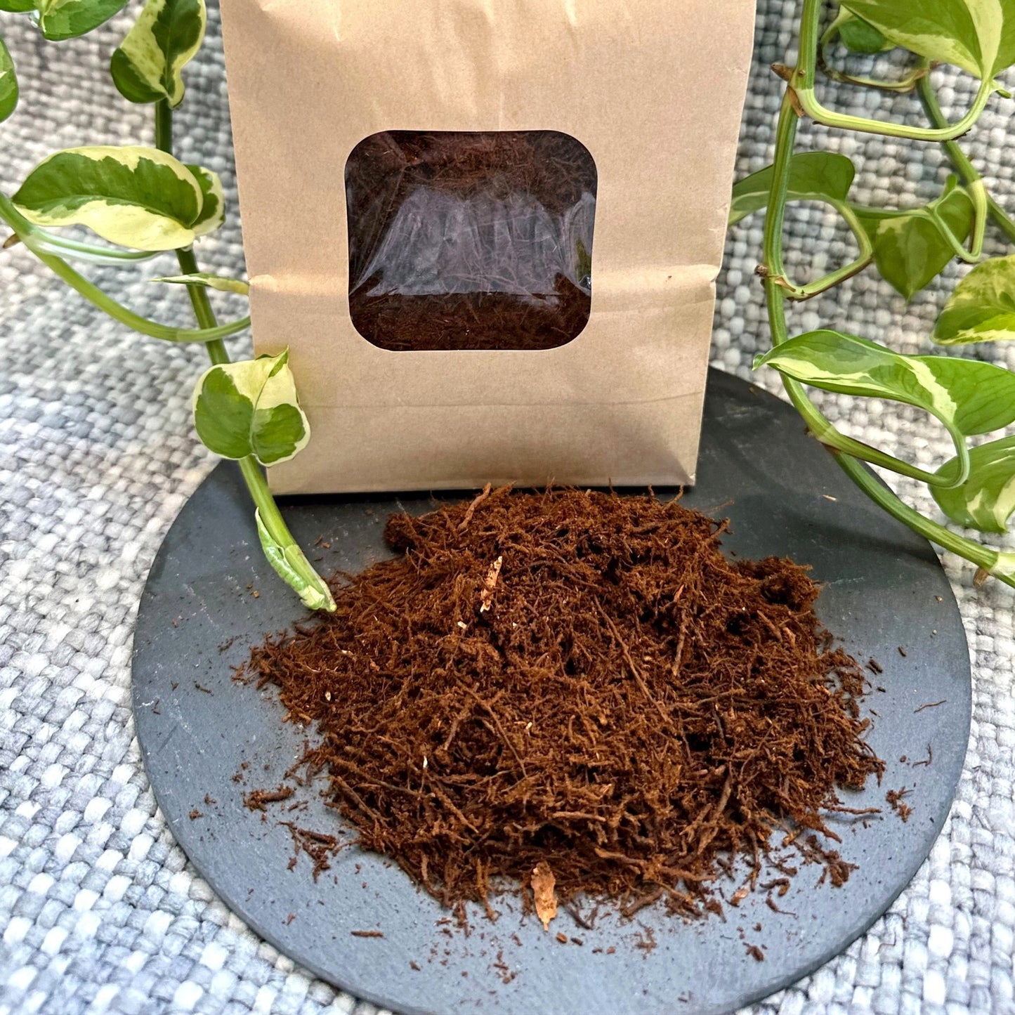 GM Fern Fibre 2L  (3)_edited_edited.jpg