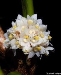 ?!label-Indicative photo