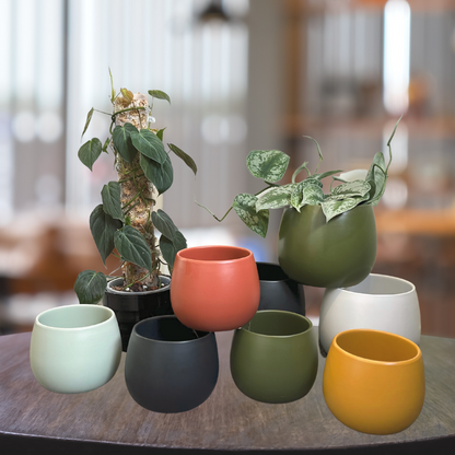 Lifestyle ceramic pots (2).png