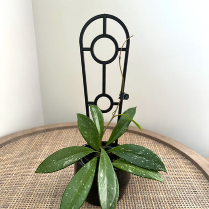 Plant support trellis black 30cm (2)_edited.jpg